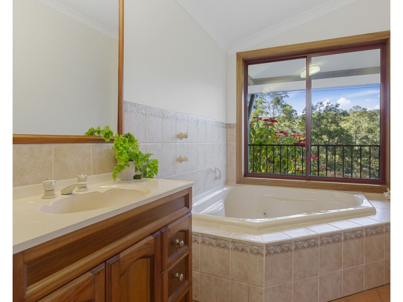 424 ZARA ROAD, Zara NSW 2484