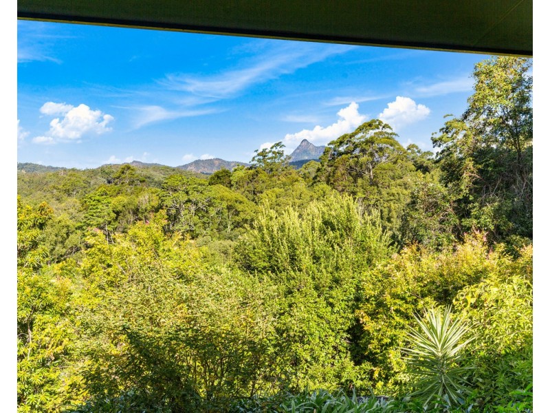 424 ZARA ROAD, Zara NSW 2484