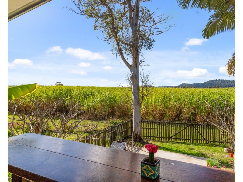 96 MCLEOD STREET, Condong NSW 2484