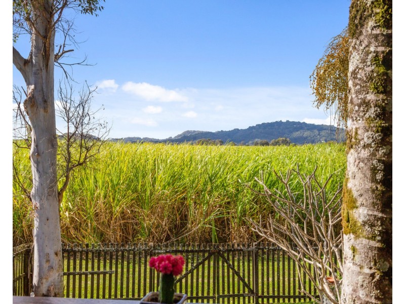 96 MCLEOD STREET, Condong NSW 2484