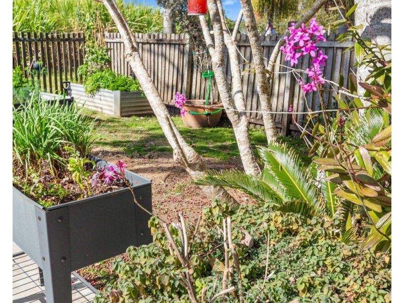 96 MCLEOD STREET, Condong NSW 2484