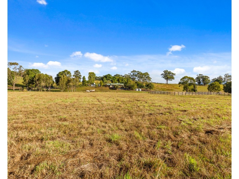 440 WARDROP VALLEY ROAD, Wardrop Valley NSW 2484
