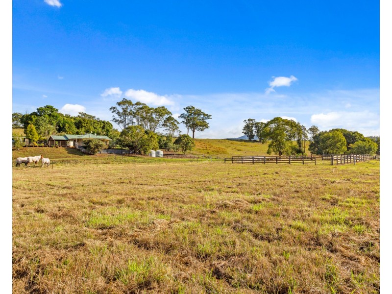 440 WARDROP VALLEY ROAD, Wardrop Valley NSW 2484