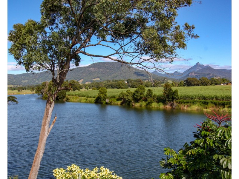 443 TWEED VALLEY WAY, South Murwillumbah NSW 2484