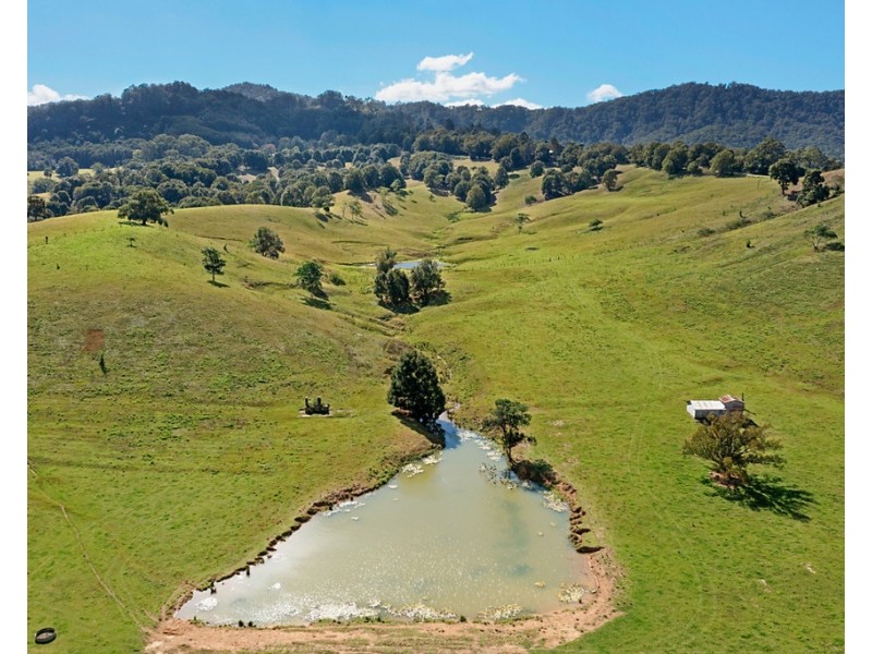 152 DUNGAY CREEK ROAD, Dungay NSW 2484