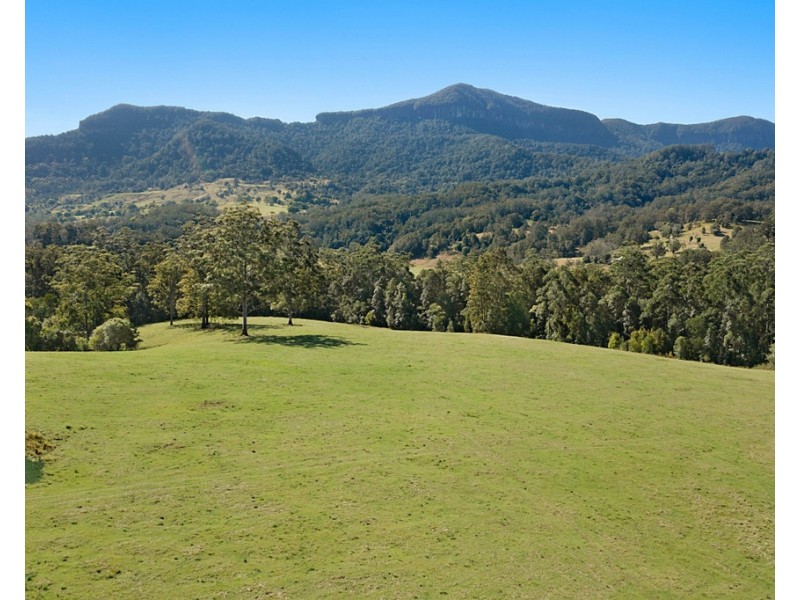 1949 NUMINBAH ROAD, Numinbah NSW 2484