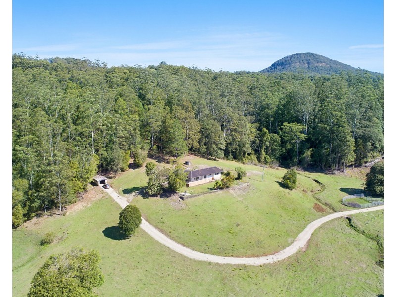 1949 NUMINBAH ROAD, Numinbah NSW 2484