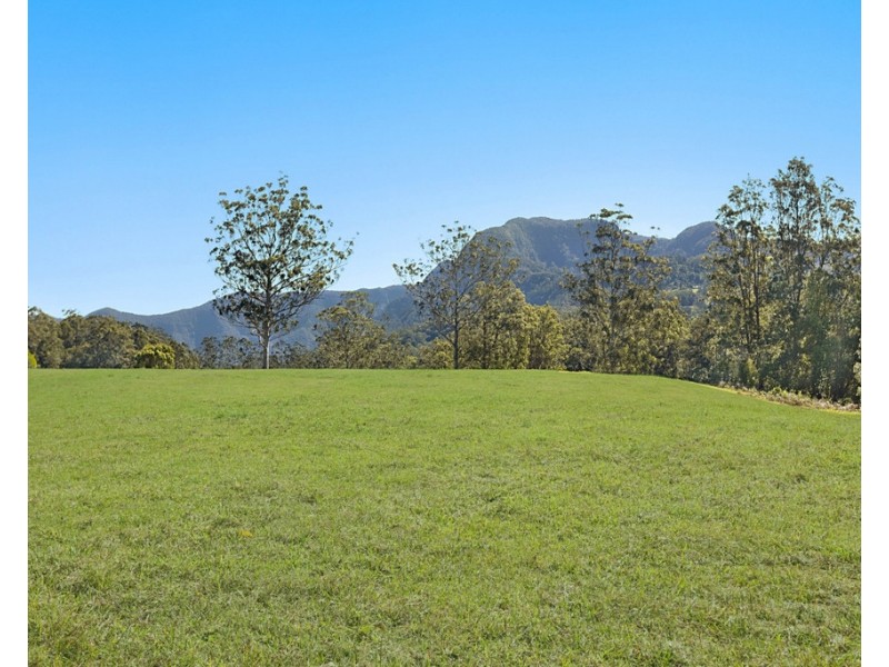 1949 NUMINBAH ROAD, Numinbah NSW 2484