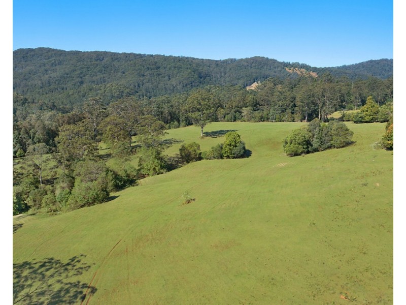 1949 NUMINBAH ROAD, Numinbah NSW 2484