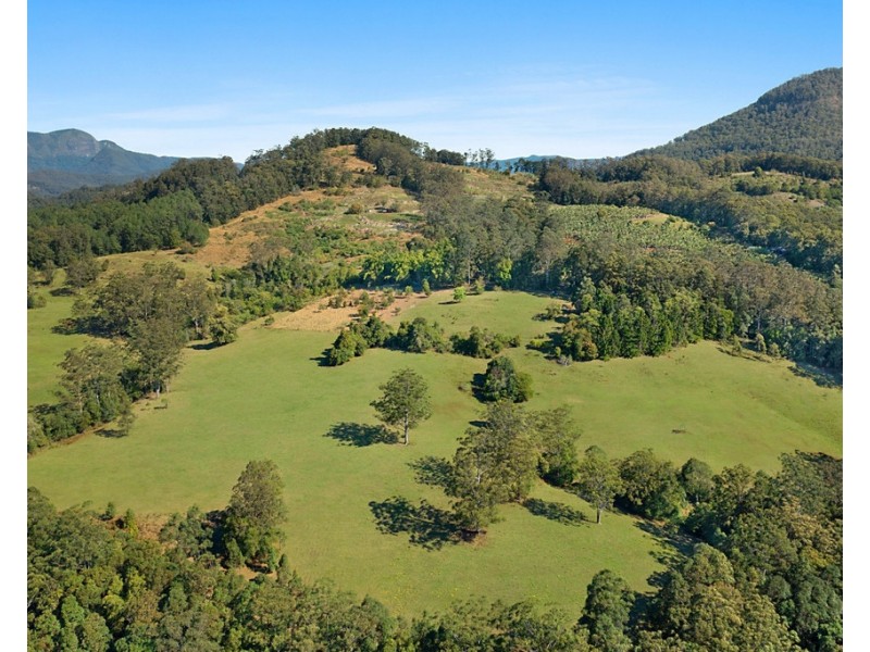 1949 NUMINBAH ROAD, Numinbah NSW 2484