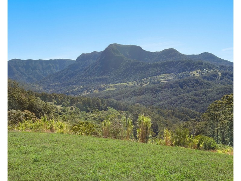 1949 NUMINBAH ROAD, Numinbah NSW 2484