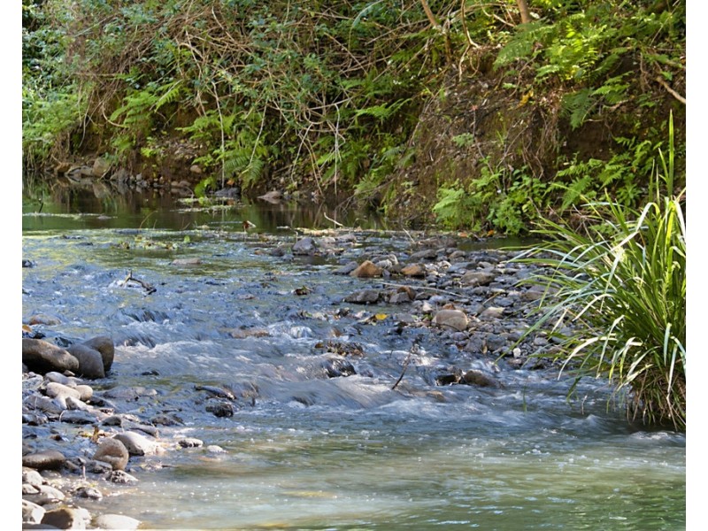 1949 NUMINBAH ROAD, Numinbah NSW 2484