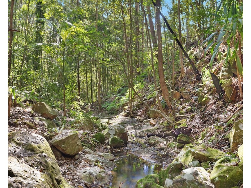 1949 NUMINBAH ROAD, Numinbah NSW 2484