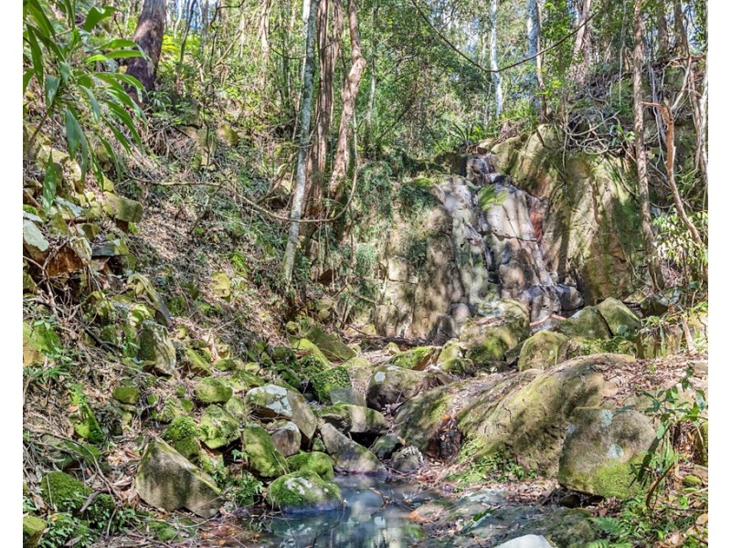 1949 NUMINBAH ROAD, Numinbah NSW 2484