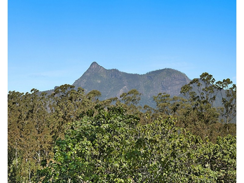 1949 NUMINBAH ROAD, Numinbah NSW 2484