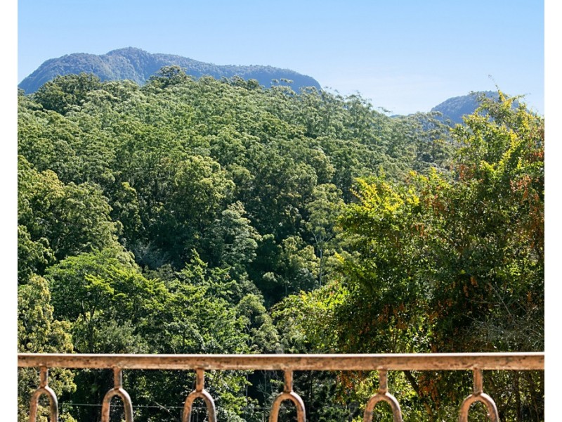 1949 NUMINBAH ROAD, Numinbah NSW 2484