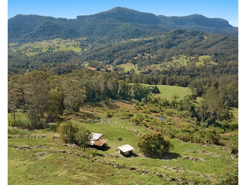 1949 NUMINBAH ROAD, Numinbah NSW 2484