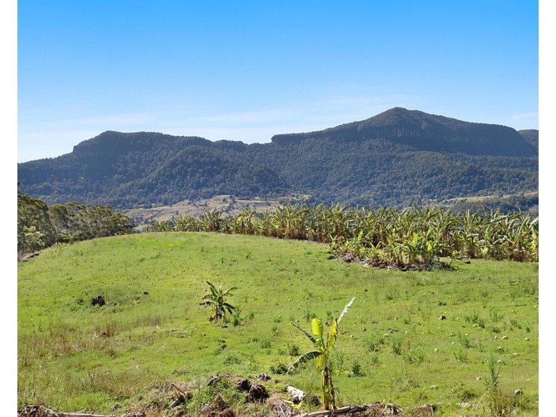 1949 NUMINBAH ROAD, Numinbah NSW 2484