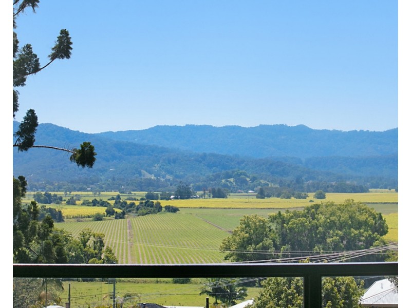 37 EWING STREET, Murwillumbah NSW 2484