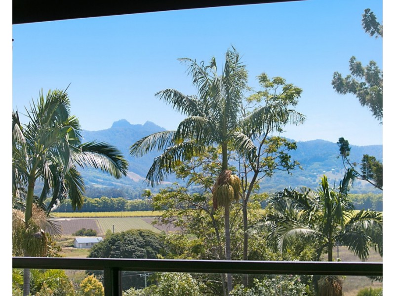37 EWING STREET, Murwillumbah NSW 2484