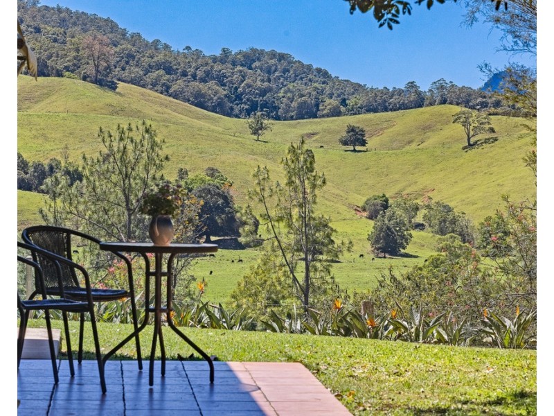 853 TYALGUM ROAD, Eungella NSW 2484