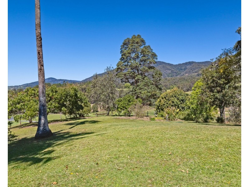 853 TYALGUM ROAD, Eungella NSW 2484
