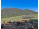 853 TYALGUM ROAD, Eungella NSW 2484