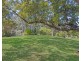 853 TYALGUM ROAD, Eungella NSW 2484