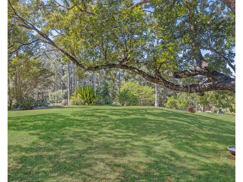 853 TYALGUM ROAD, Eungella NSW 2484