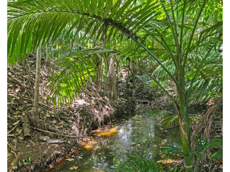 18 PINEGOLD PLACE, Nunderi NSW 2484