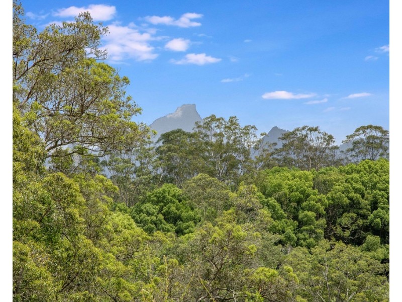 396 SMITHS CREEK ROAD, Uki NSW 2484
