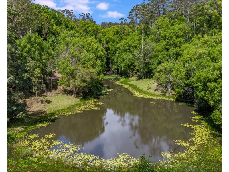 396 SMITHS CREEK ROAD, Uki NSW 2484