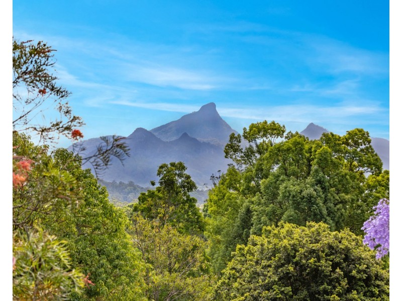 119 Malabar Avenue, Smiths Creek NSW 2484