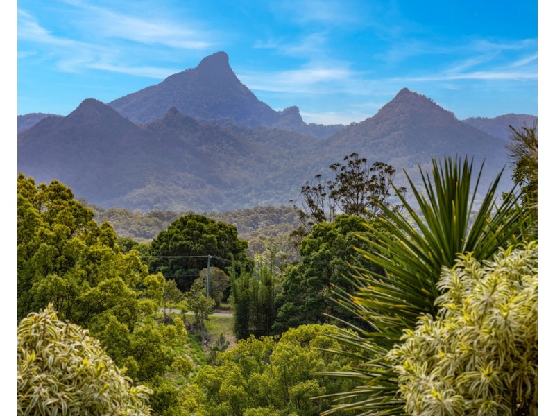 119 Malabar Avenue, Smiths Creek NSW 2484