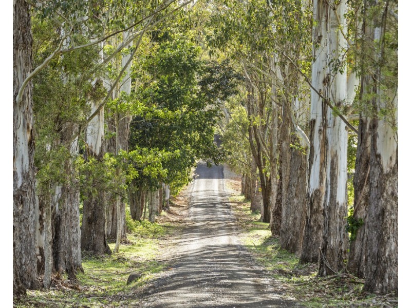 66 YARRABEE TERRACE, Stokers Siding NSW 2484