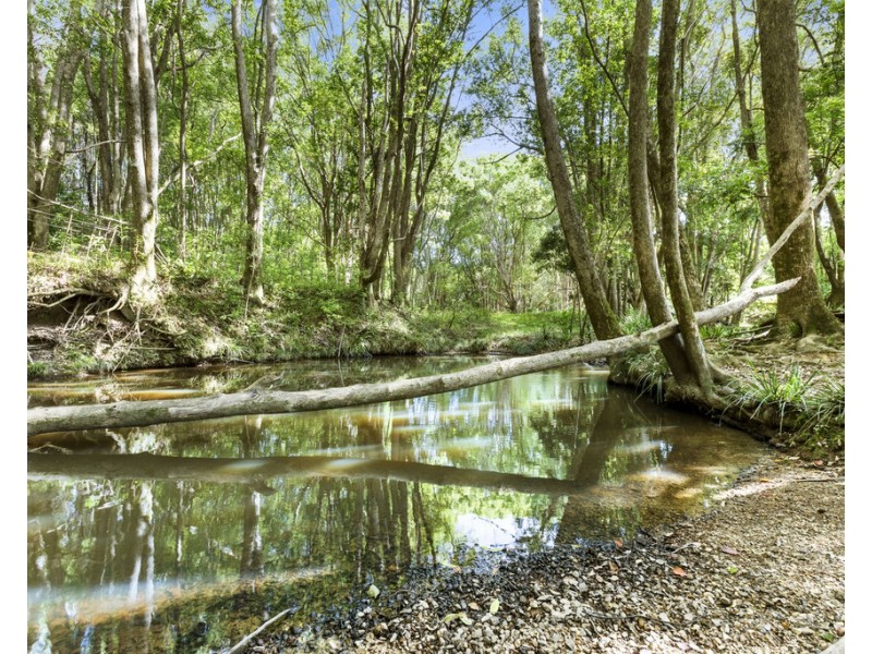66 YARRABEE TERRACE, Stokers Siding NSW 2484