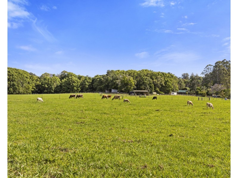 66 YARRABEE TERRACE, Stokers Siding NSW 2484