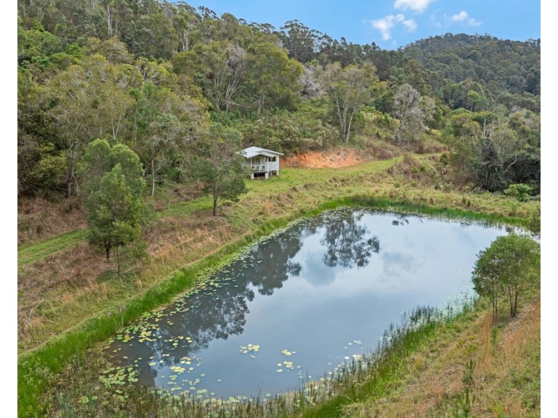 908 RESERVE CREEK ROAD, Reserve Creek NSW 2484