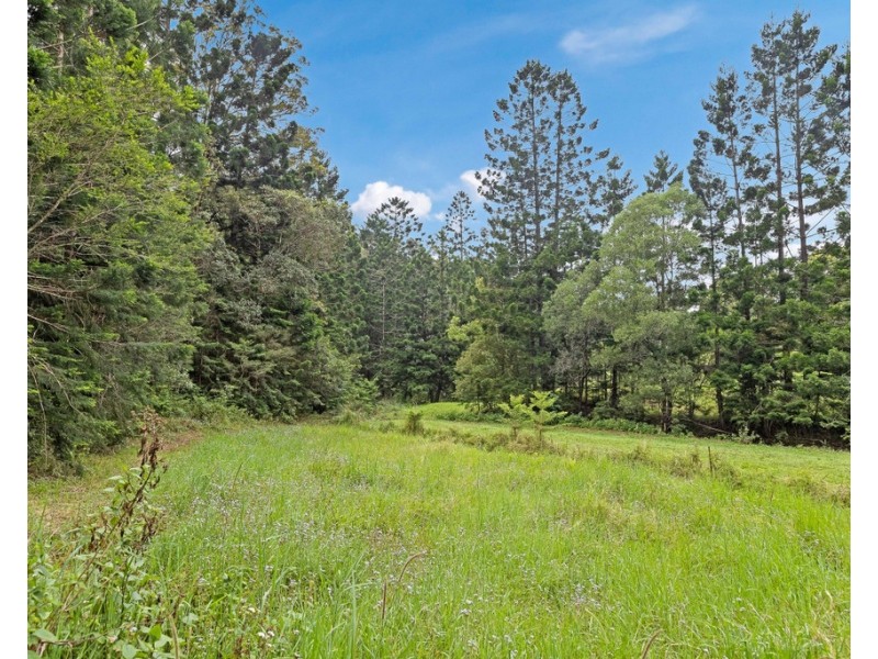 908 RESERVE CREEK ROAD, Reserve Creek NSW 2484