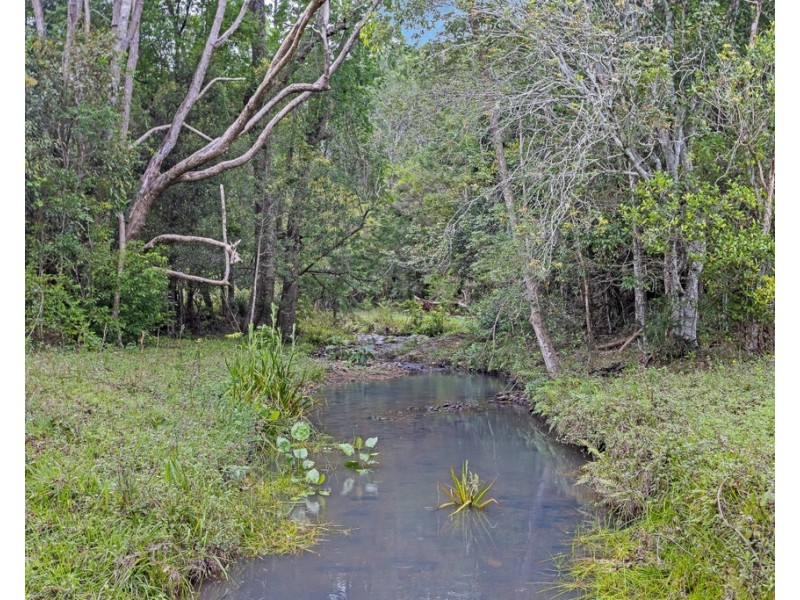 908 RESERVE CREEK ROAD, Reserve Creek NSW 2484