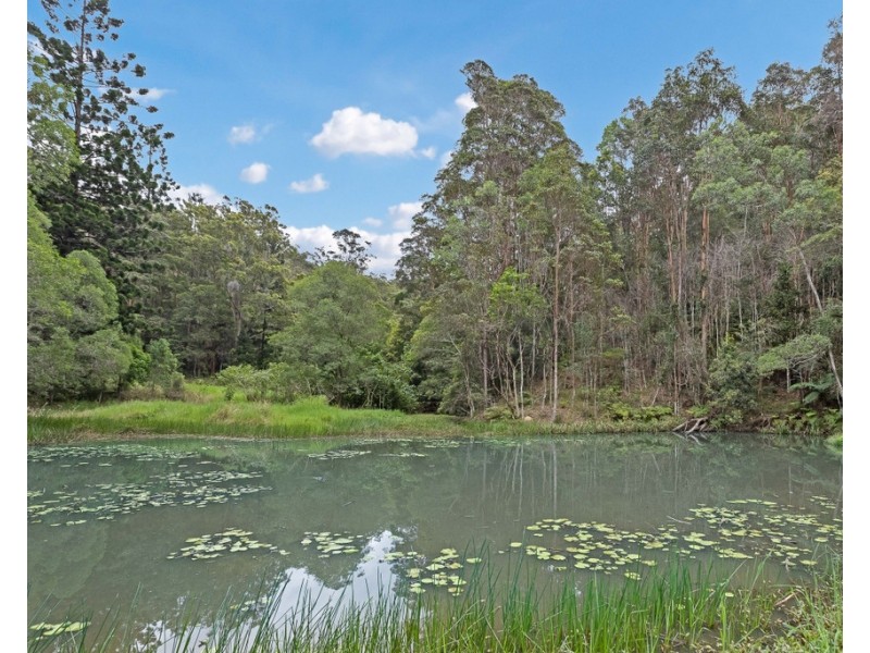 908 RESERVE CREEK ROAD, Reserve Creek NSW 2484