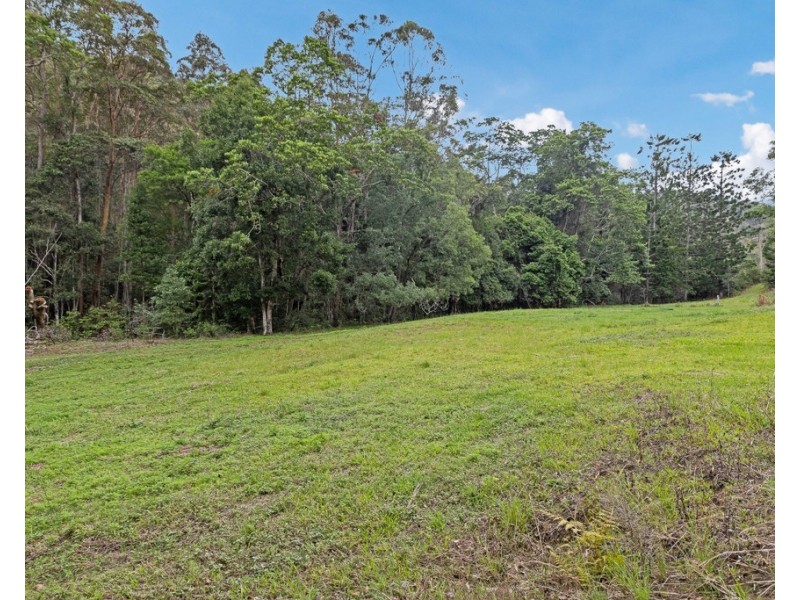 908 RESERVE CREEK ROAD, Reserve Creek NSW 2484