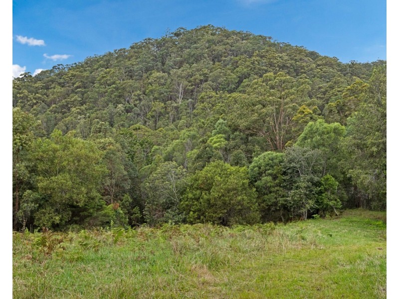 908 RESERVE CREEK ROAD, Reserve Creek NSW 2484