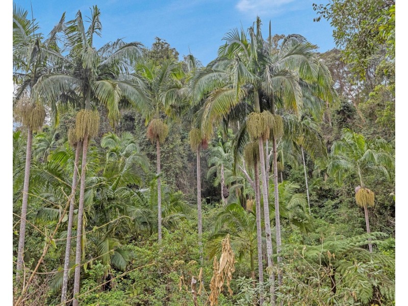 908 RESERVE CREEK ROAD, Reserve Creek NSW 2484