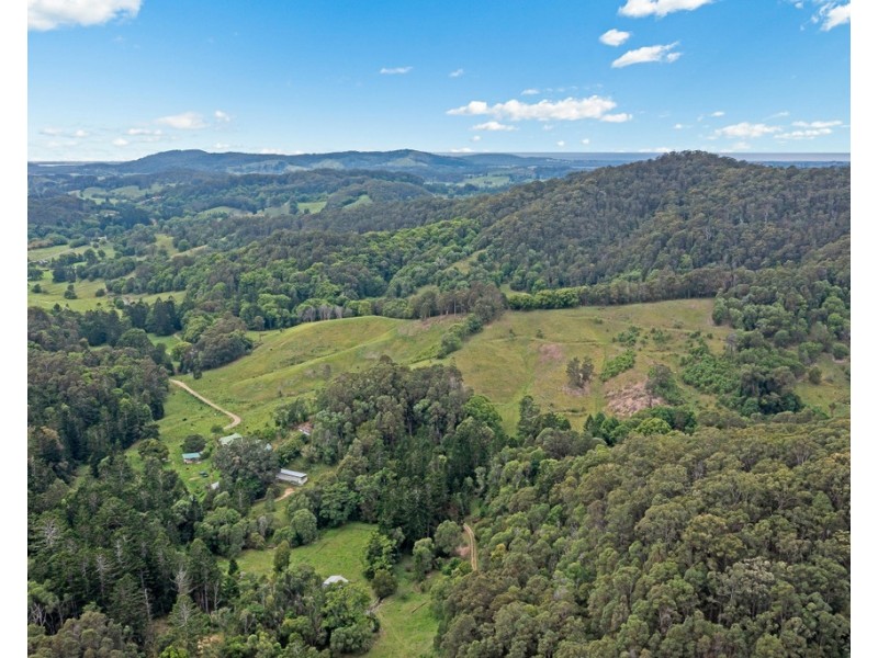 908 RESERVE CREEK ROAD, Reserve Creek NSW 2484