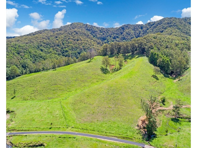 144 BOOKA ROAD, Upper Crystal Creek NSW 2484