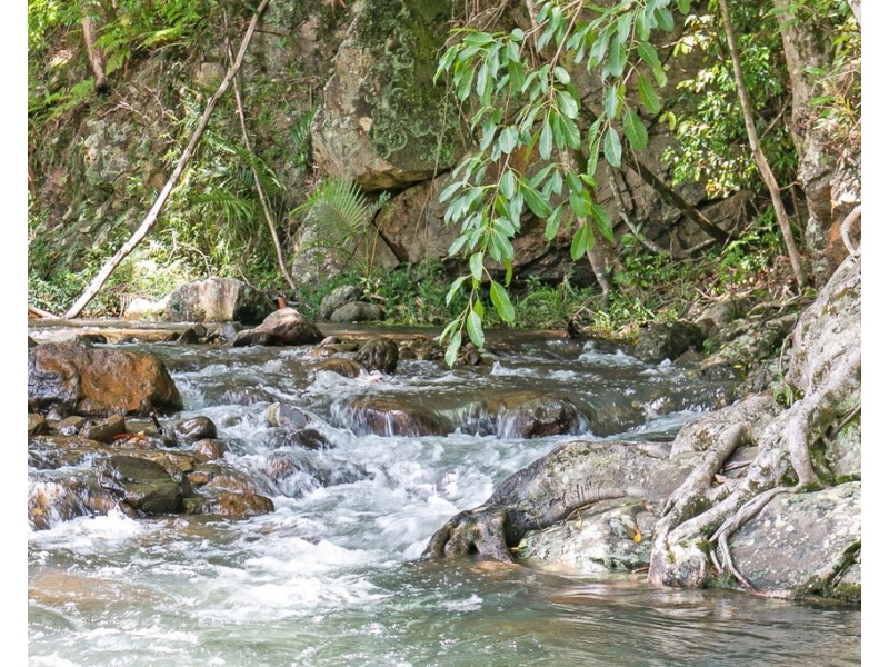 144 BOOKA ROAD, Upper Crystal Creek NSW 2484