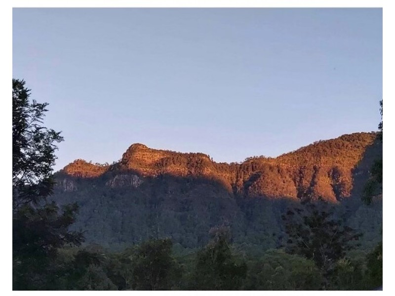 215 MOUNT BURRELL ROAD, Uki NSW 2484