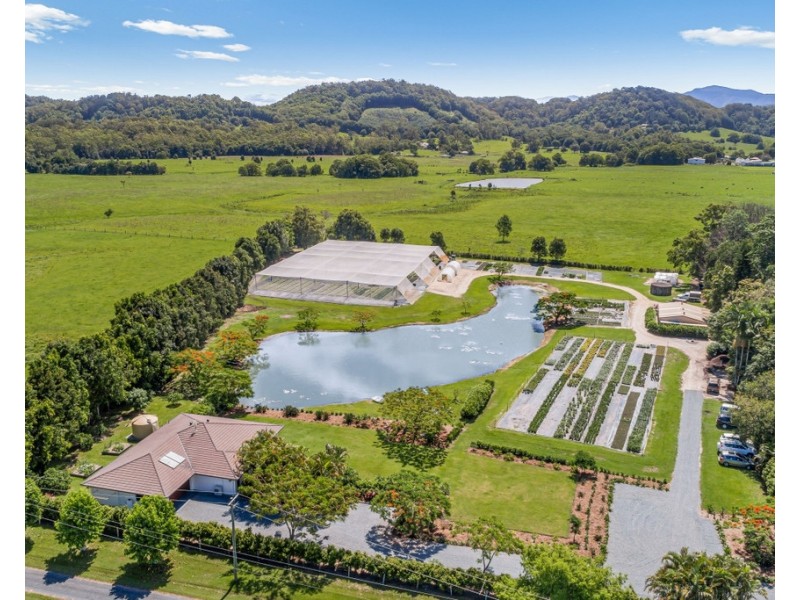 20 JACK WILLIAMS PLACE, Dungay NSW 2484