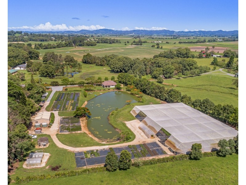 20 JACK WILLIAMS PLACE, Dungay NSW 2484
